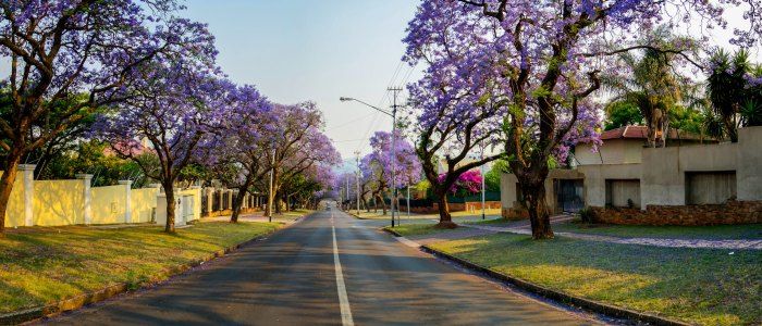 Reasons for visiting Pretoria
