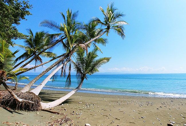 20 Most Exotic Things To Do In Costa Rica