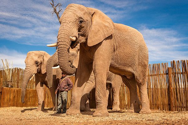 11 Secret Tours And Unexplored Places In Africa