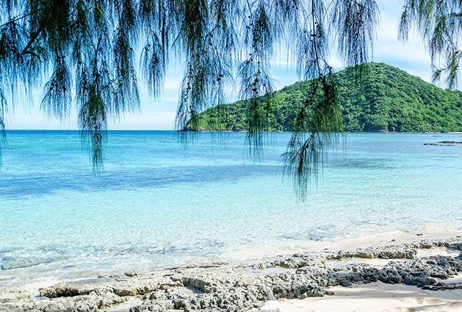 20+ Beatific Things To Do In Fiji