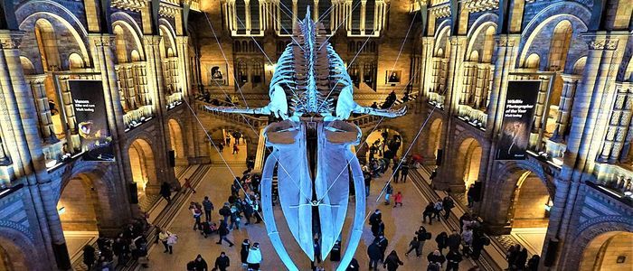 Coping with cancelled trips and being homebound for months - Virtual Tours
