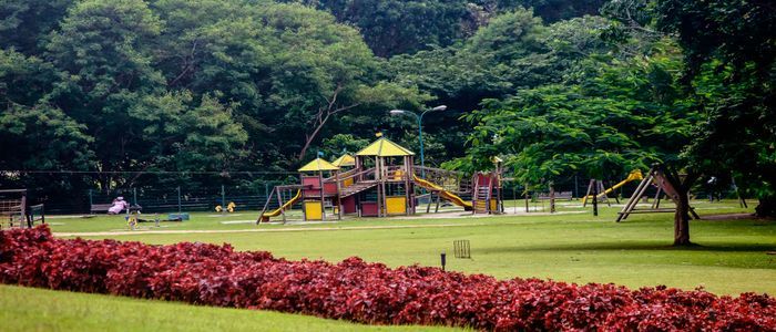 10.-Millenium-park-untouched-nature-and-pleasant-vibes.jpg