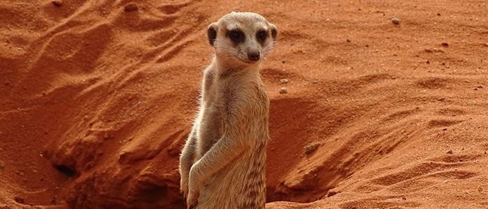 Kalahari Desert, unexplored places in Africa
