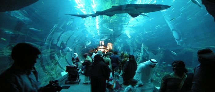 Mind-Blowing & Some Hidden Hangouts In Dubai - World's Largest Aquarium