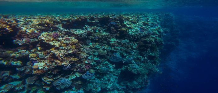 Top Things To Do In North Africa - Blue Hole