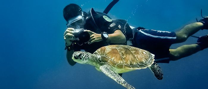 things to do in Mauritius - Blue Bay Marine Park