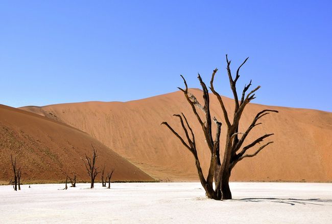 15 Safest Places To Visit In Africa After Lockdown