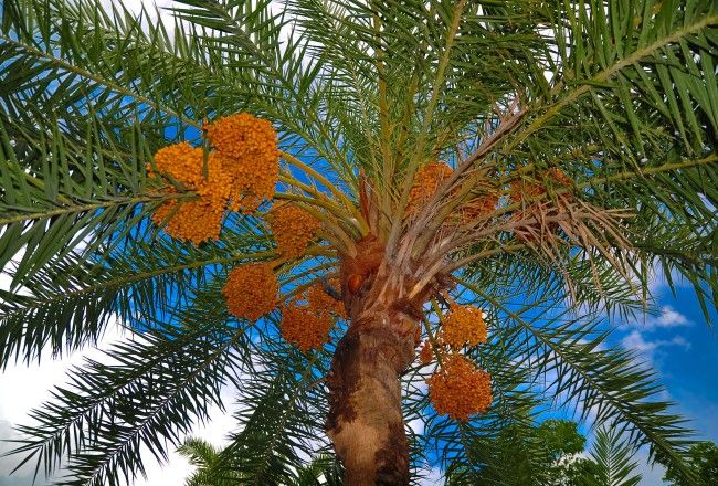 Top 15+ Spring Destinations In The UAE You Cannot Afford To Miss This Season