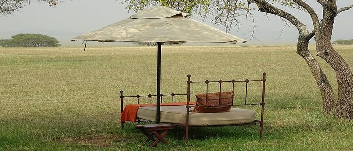 luxury safari in Africa: Travel in Style and Comfort