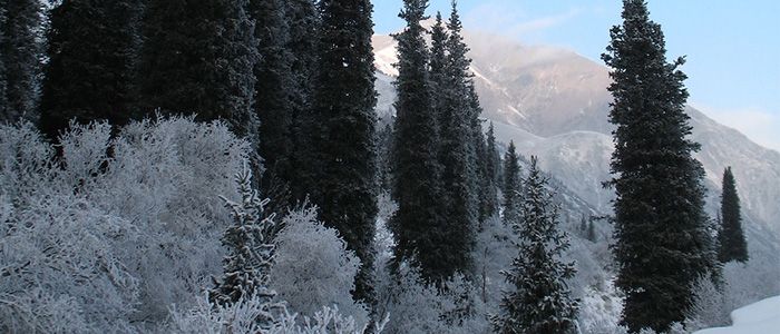 Things To Do In Kyrgyzstan - Ala Archa National Park