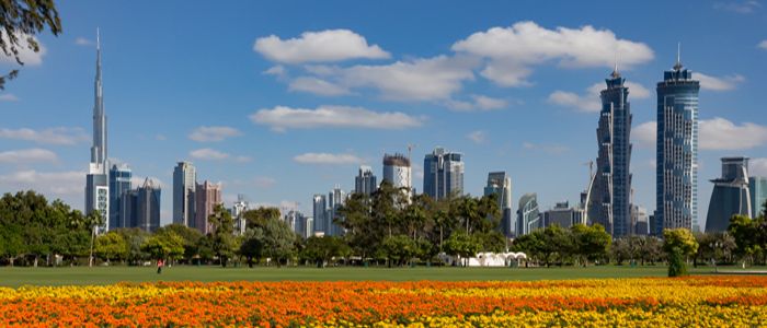 Free Things to Do in Dubai - Picnic at a Park in Dubai.