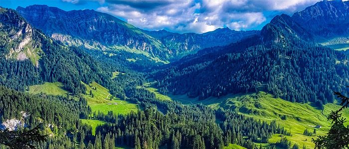 New Travel Ban and Travel Restrictions: Austria