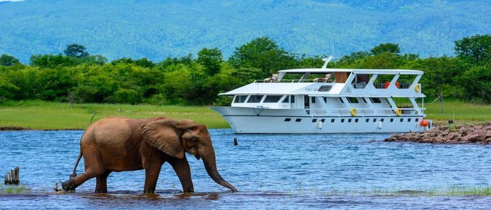 top things to do in Zimbabwe