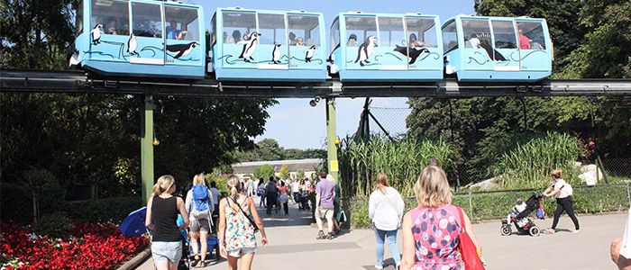 21.-Have-a-family-excursion-at-Chester-Zoo.jpg