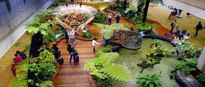 Changi Airport's Tour, things to do in Singapore