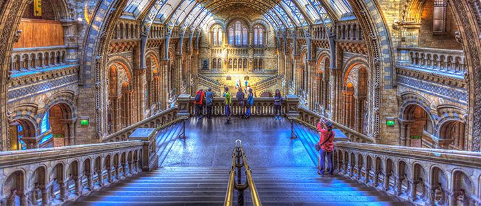 24.-Explore-a-Museum-of-Natural-History.jpg
