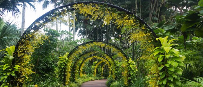 Things to do in Singapore