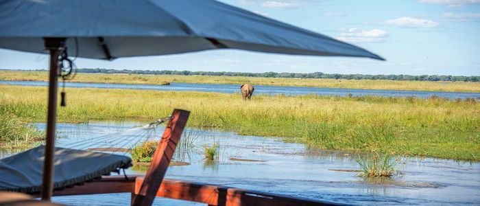luxury safari in Africa: Relax and Unwind