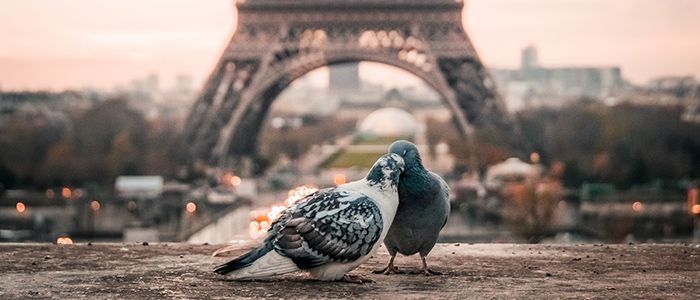 romantic holidays for couples - Paris