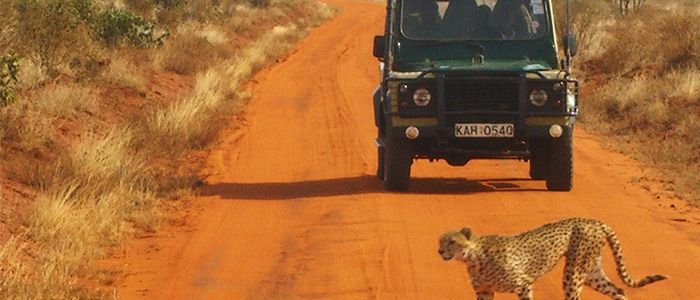 Destinations For Solo Travellers - Africa