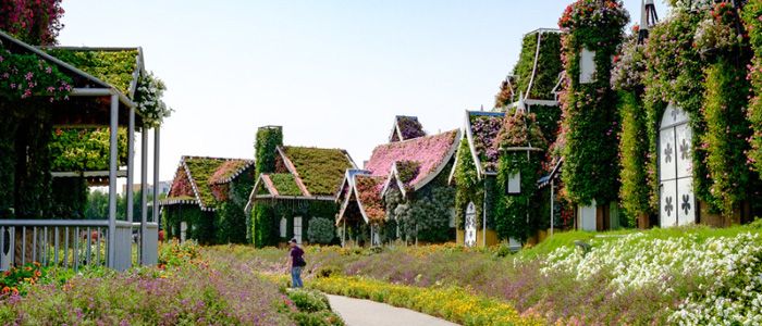 Top Things To Do In Dubai With Family - Miracle Garden