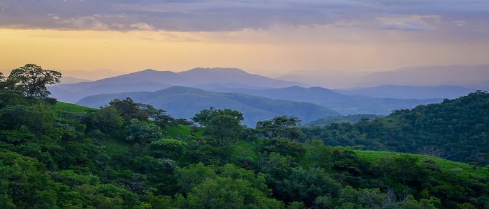 2.-Gashaka-Gumti-National-Park-diverse-wonders-of-wildlife.jpg