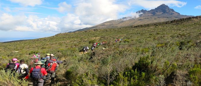 Mt. Kilimanjaro, Tanzania