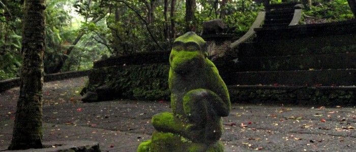 things to do in Indonesia - Sacred Monkey Forest