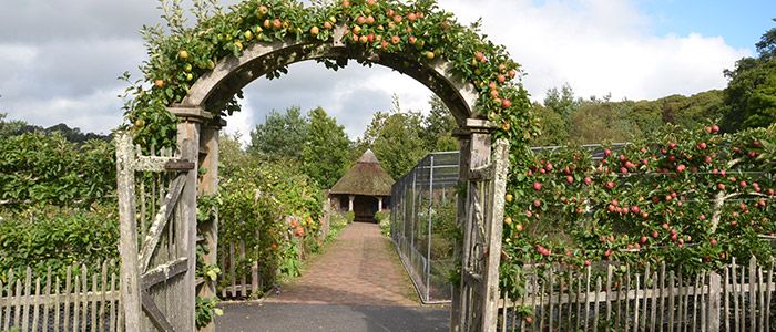 40.-Explore-Rosemoor-Gardens.jpg