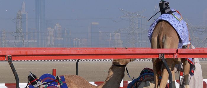 Things to know about Dubai - 
 Robots in Dubai