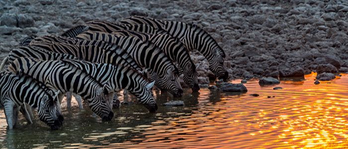 Namibia, Southern Africa.