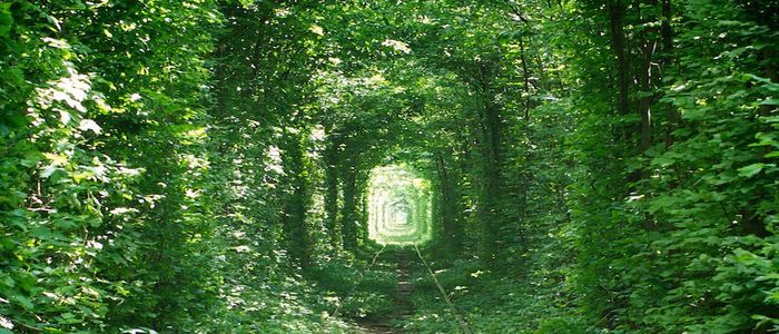 Things to do in Ukraine - Tunnel of Love