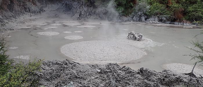 Things to do in Fiji - Sabeto Therapeutic Mud Pools & Hot Springs