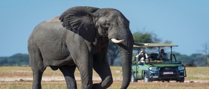 Hwange National Park