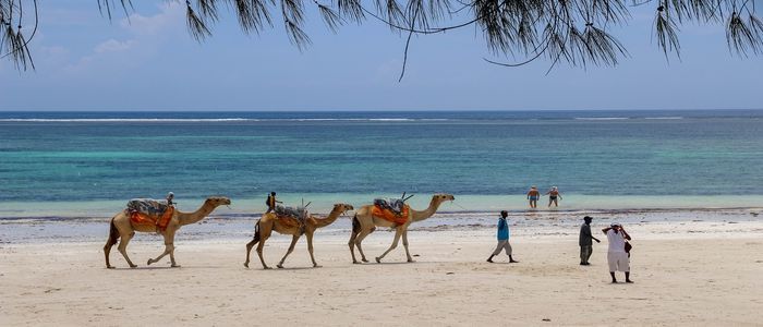 4-Daini-Beach.jpg