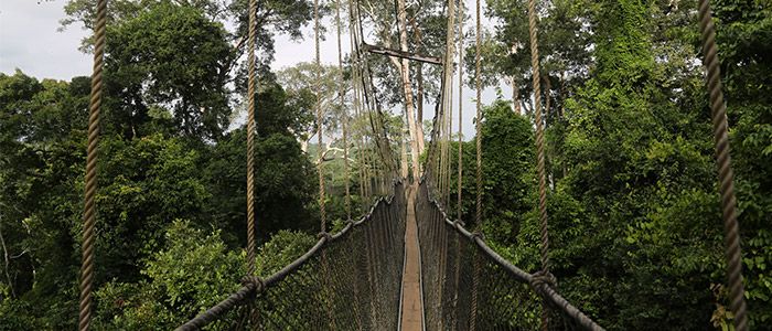 Witness Nature's Finest Views