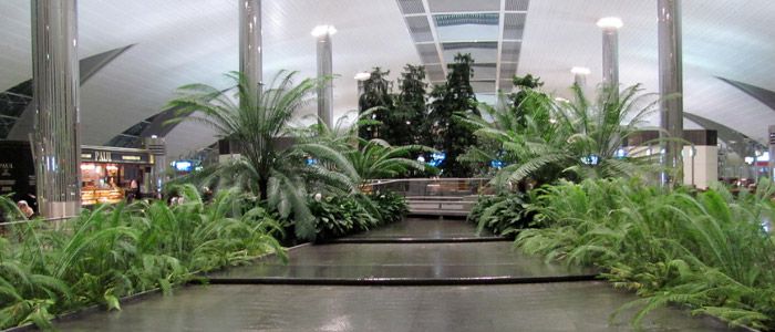 5-4.jpg