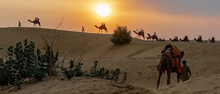 Unexplored Africa: Camel Safari