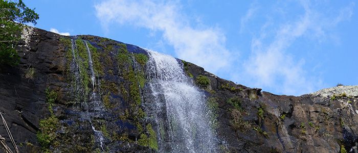 things to do in Mauritius - Tamarind Falls
