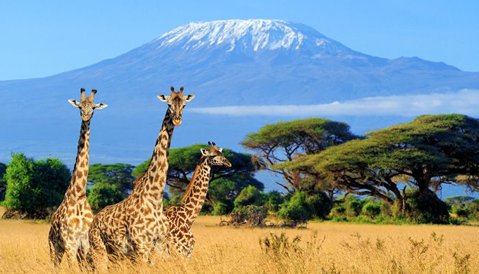 Kenya - Where Adventure Awaits