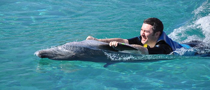 Dubai Dolphinarium