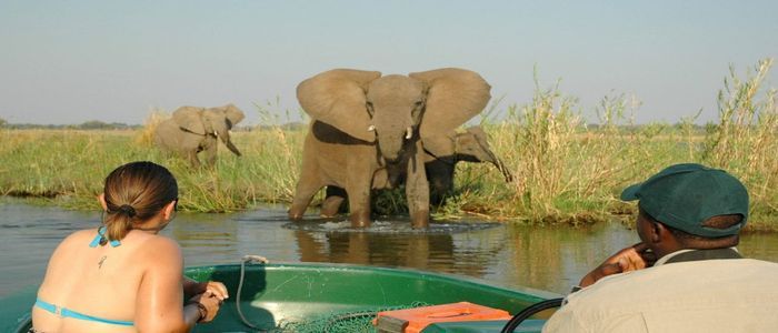 Mana Pools National Park