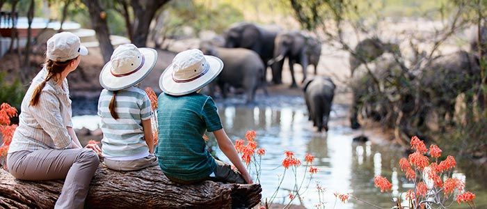 Cheaper luxury holiday in Africa.
