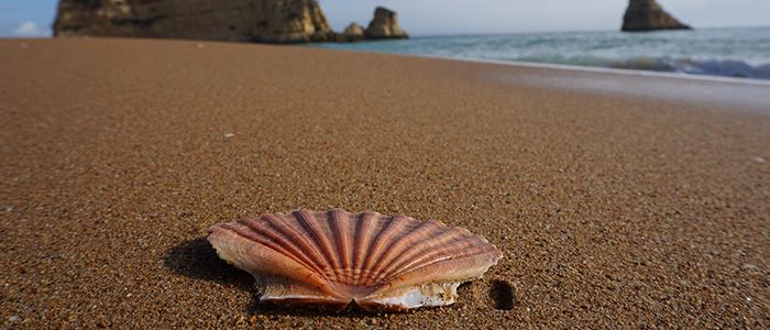 Things to Do in Nigeria - Oniru Beach