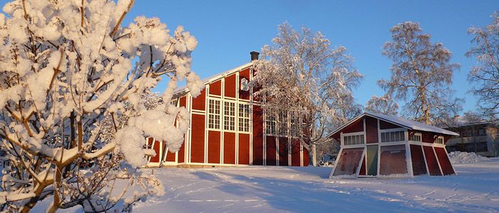 Travel Ban and Travel Restrictions: Sweden