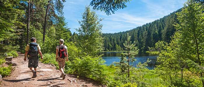 Mount Hiking Adventure Trips, Black Forest, Germany.