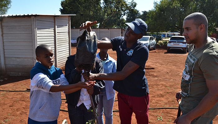 Unveiling The Power Of Tree Planting