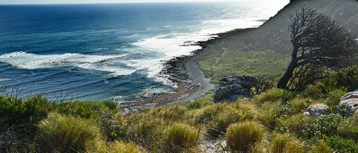 African Eagle Day Tours, South Africa