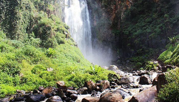 Safari in Nyahururu