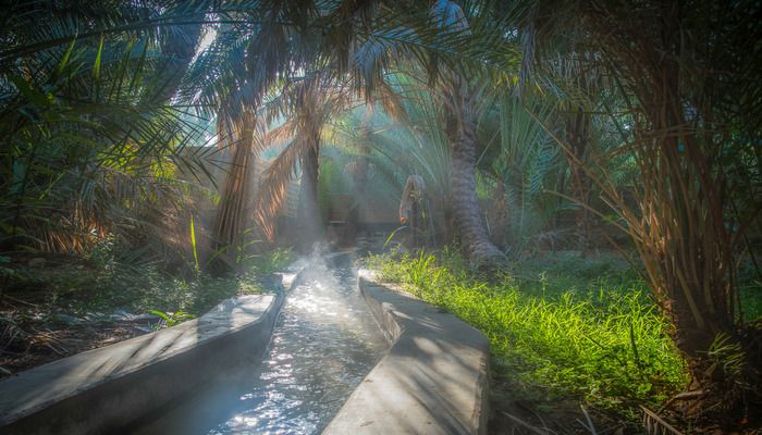 Al Ain Oasis